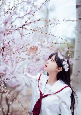 男人本色在线观看_高清日韩电影在线
